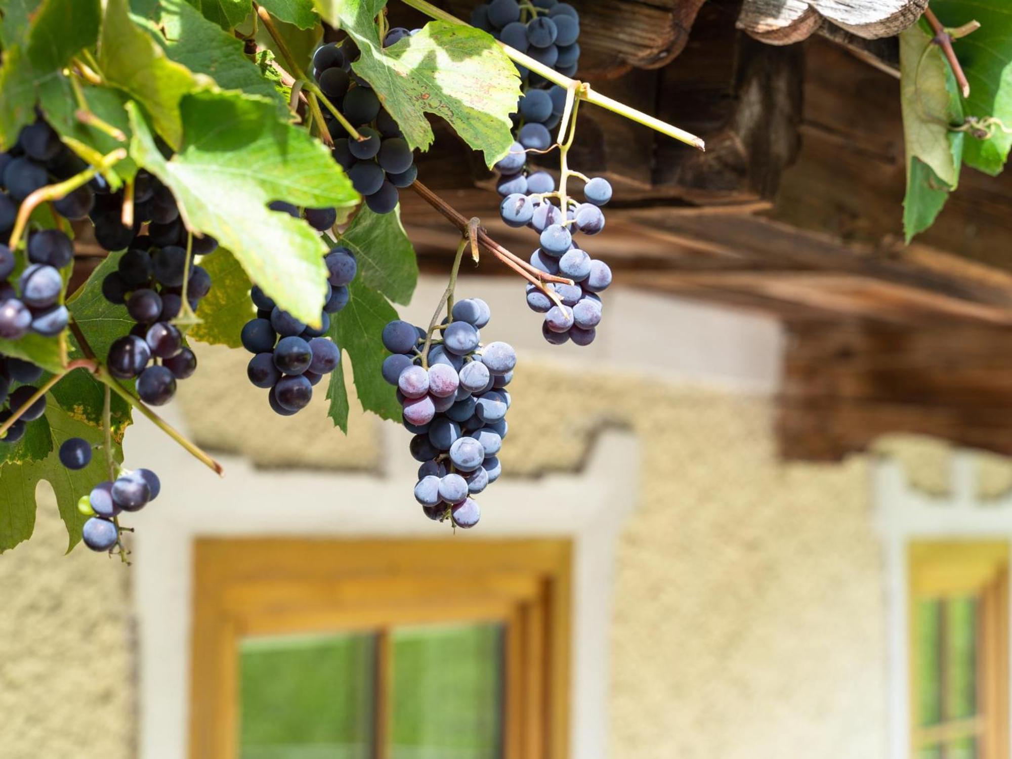 Chalet Anna Bruck am Ziller Ngoại thất bức ảnh